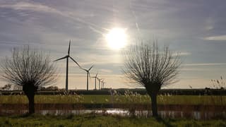 Zon met sluierbewolking en wat wind 