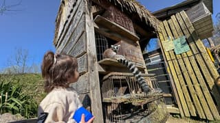 Diertjes kijken in ZooParc