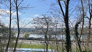 Tegen de middag is de mist verdwenen en de zon is tevoorschijn gekomen 