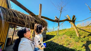 ZooParc diertjes bekijken