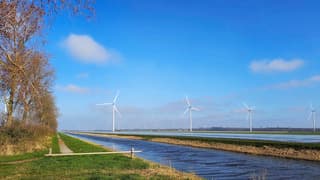 zaterdagmiddag in Swifterbant 