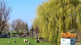 Lente op de boerderij