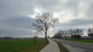 Hele dag bewolkt, fris en grijs in Steenwijk, kort een glimlach van de zon hier te zien