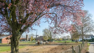 Een prachtige Lentedag