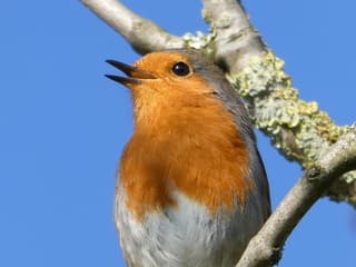 Weer een heerlijke, zonnige lentedag!