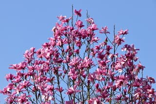 Weer een prachtige lenteag