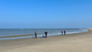 Hengelaars op het strand 