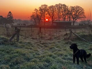 Prachtige zonsopkomst 