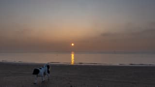 Mistig tijdens Zonsopkomst op Vlieland