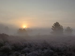 Zonsopkomst met mist