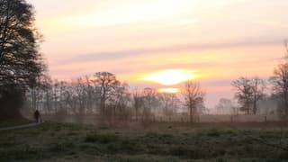 Hond uitlaten in de vroege dauw