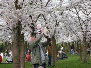Nog even genieten voor dat het weer omslaat! 