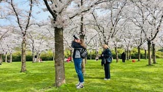Prachtig weer in het bloesempark vandaag. 