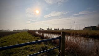 Zijdewind