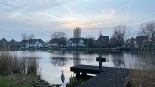 Avondlucht, roeiers en een reiger 