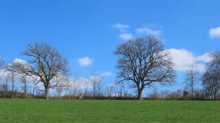 Blauwe lucht met wat wolkjes