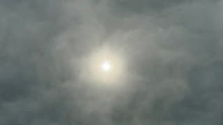 Waterig zonnetje Zwolle