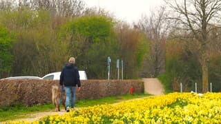 NOG DROOG VANDAAG - morgen Hondenweer