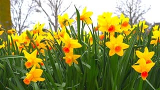 KLEUR OP 'n GRIJZE DAG