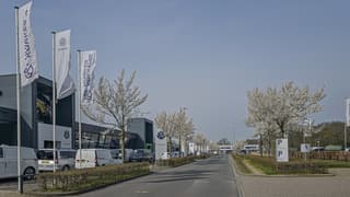 Bloesem en sluierbewolking