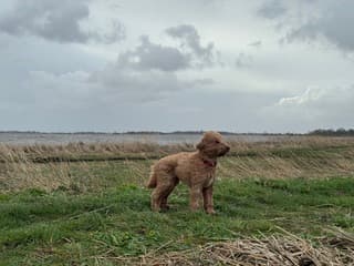 Met de neus in de wind