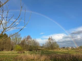 Regenboog  in de ochtend