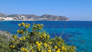 Middellandsezee vanmiddag 