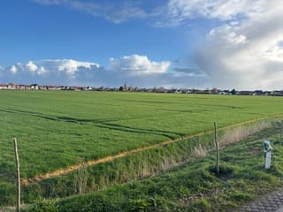 Zon en buien 