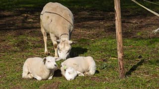 Na een bui in de zon