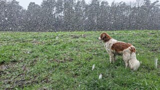 Kijken naar de sneeuw