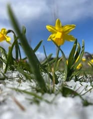 Tussen de buiendoor Kaiserwetter ?