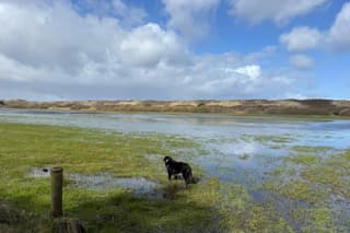 Zon en wolken vanmiddag. 
