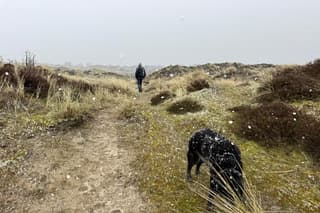 Sneeuwbui vanmiddag. 