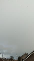 Timelapse buien, zon, hagel 