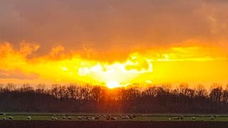 zonsondergang Dronten 