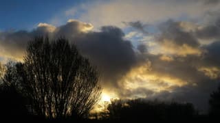 Zonsondergang boven het park