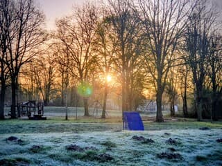 Zonsopkomst gehuld in rijp 
