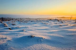 Dik pak sneeuw Ardennen