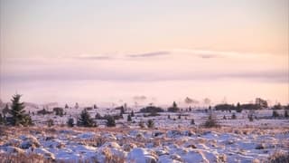 Pak sneeuw bij zonsopkomst (Ardennen)
