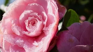 Sneeuw smelt door de zon