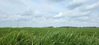 Mooie bewolking en wind boven de Groninger landerijen 