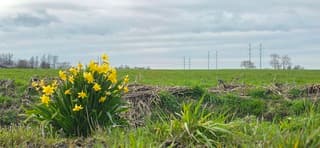 Dichte bewolking boven de Groninger landerijen 