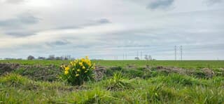 Mooie dichte bewolking boven de Groninger landerijen 