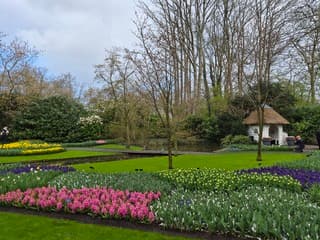 De zon breekt door in Keukenhof 