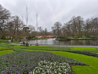 Natte en bewolkte start in Keukenhof 