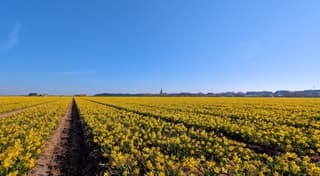 Wat een mooie stralende start van de dag.