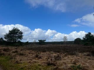 Afwisselend zon en wolken 