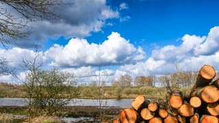 Vriendelijk maar koud