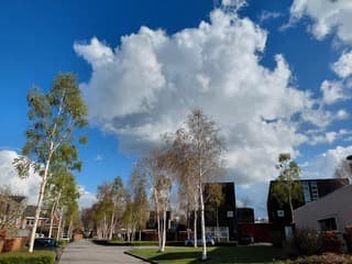 Bijzonder lenteweer met de bomen in de bloei