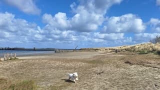 Uitwaaien en rennen op het strand